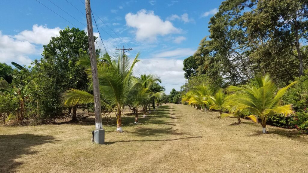 Coclé