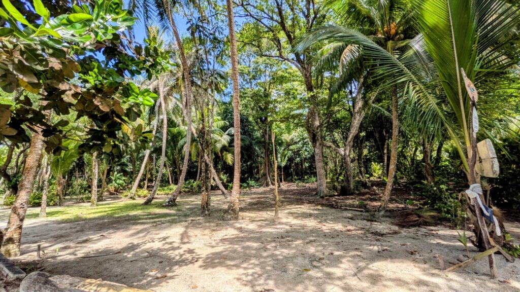 2 Adjacent Titled Beachfront Lots