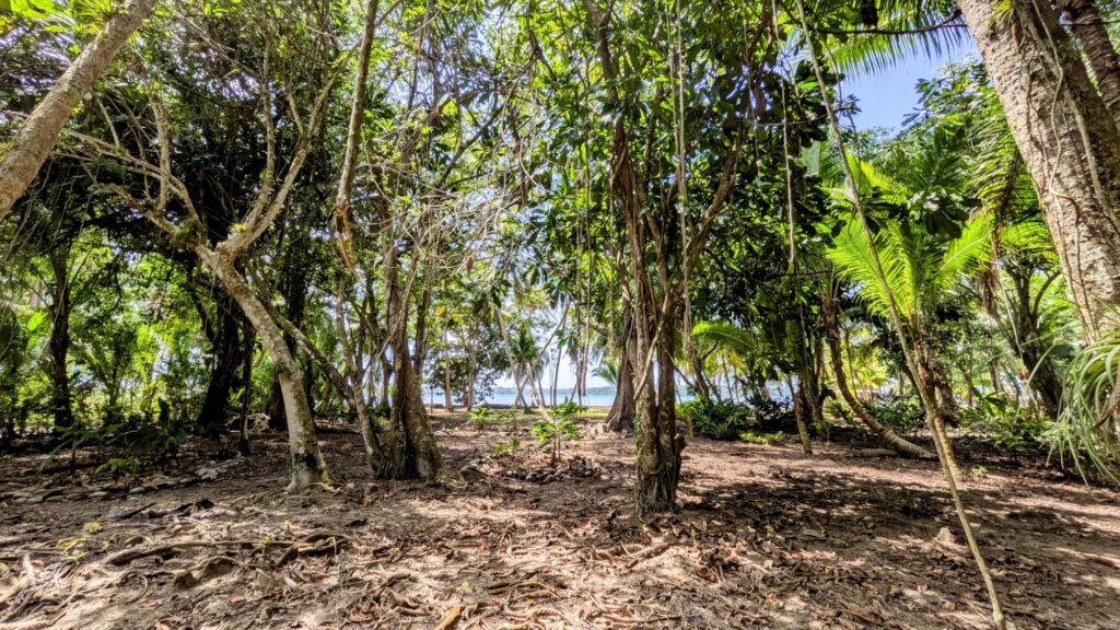 Bocas del Toro