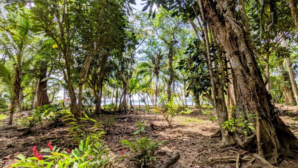Panamá