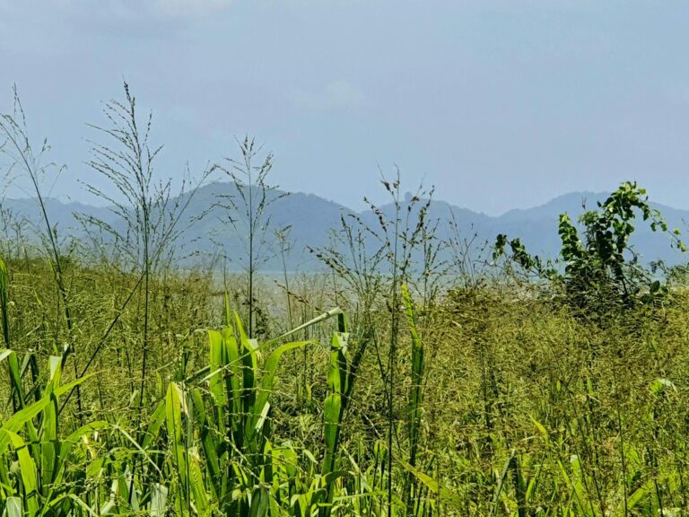 Panamá Oeste