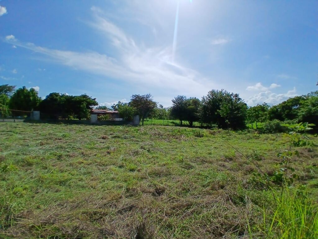 Panamá Oeste
