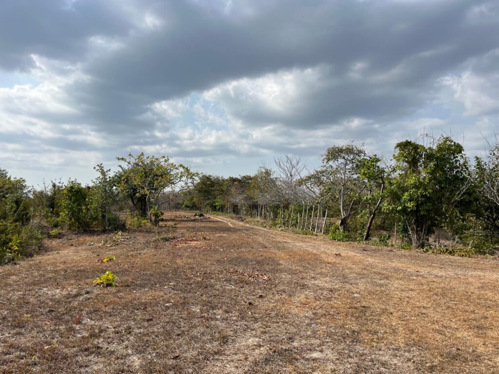 Panamá Oeste