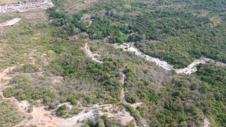 Terreno En Venta