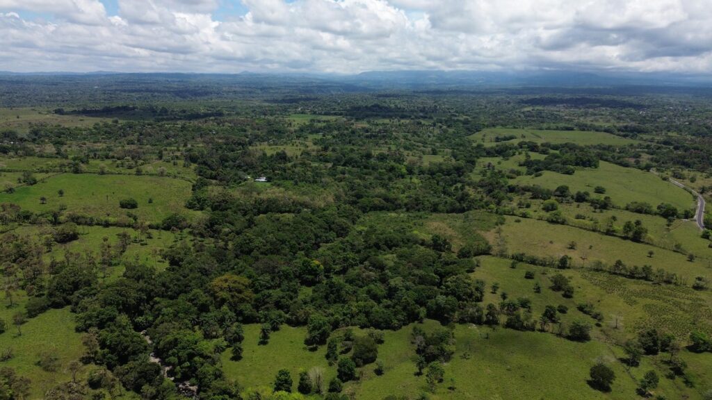 Chiriqui