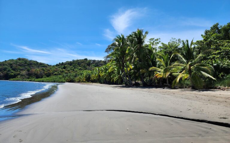 Affordable Lot on Isla Muertos