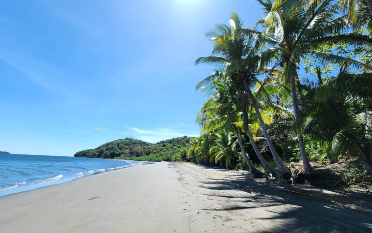 Chiriqui