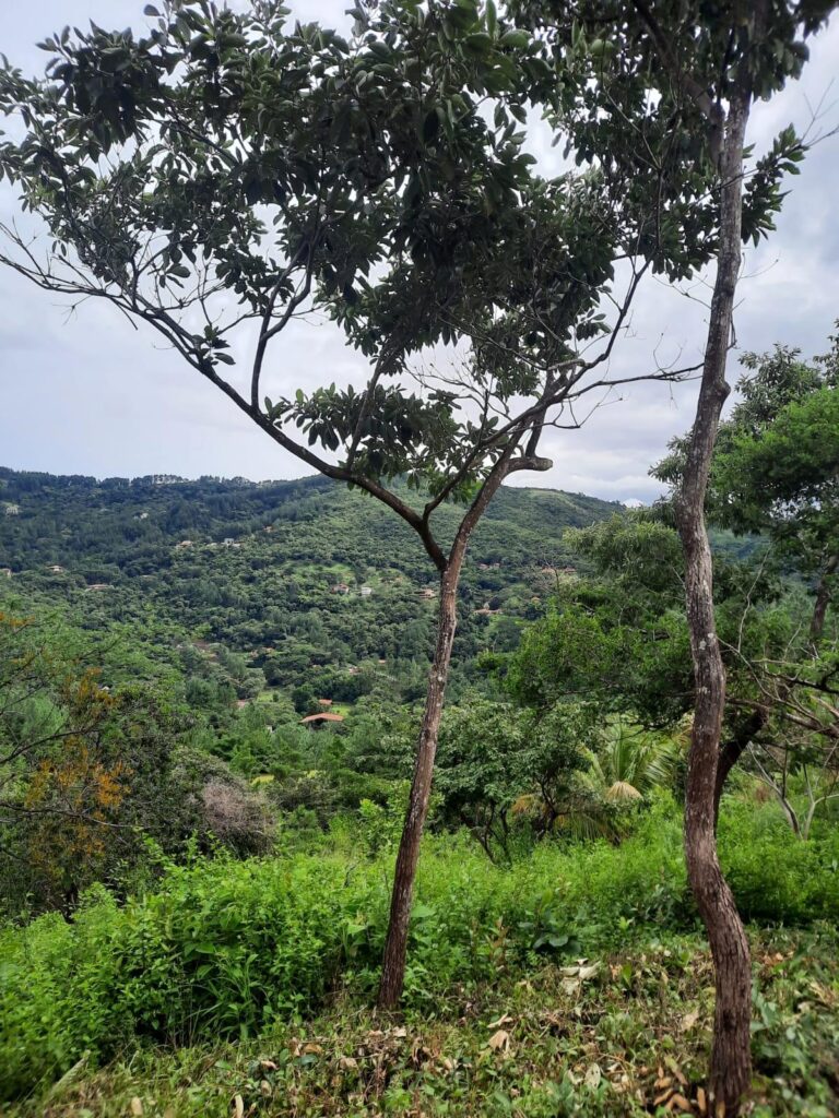 Panamá Oeste
