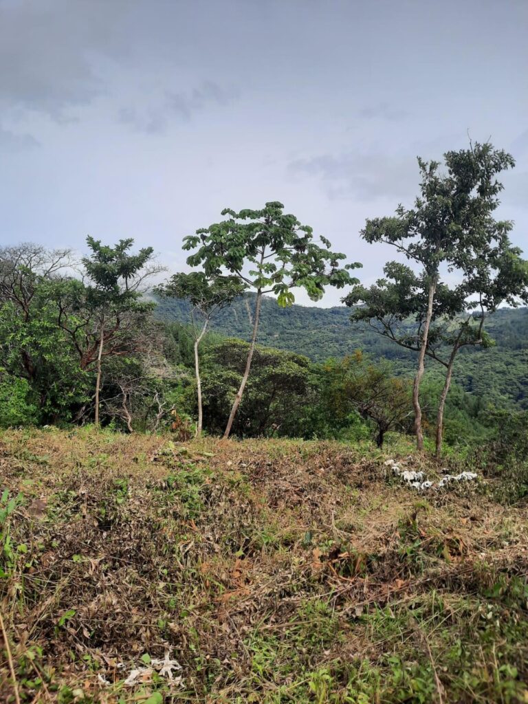 Panamá