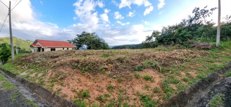 Terreno En Venta