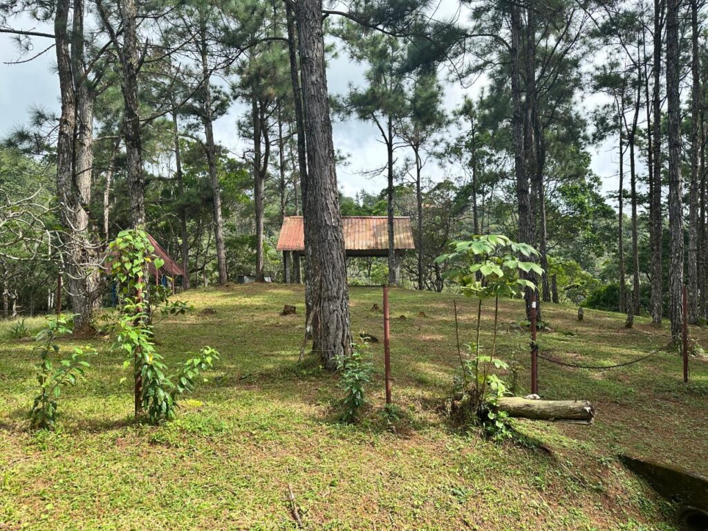 Cerro Azul