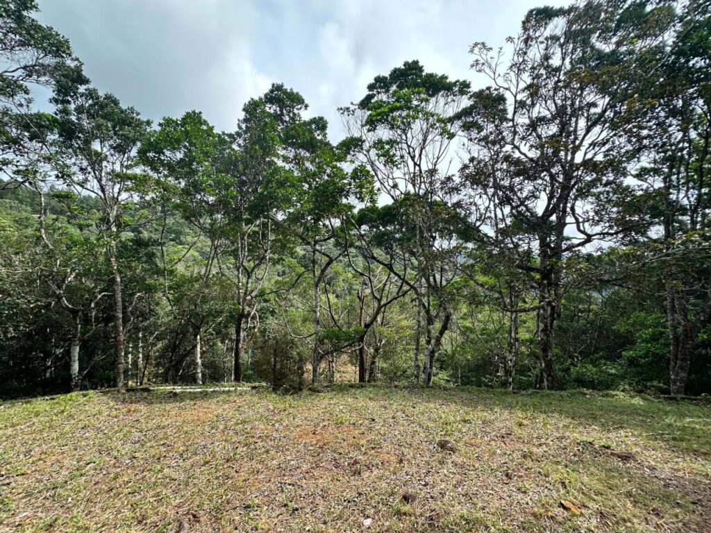 Cerro Azul