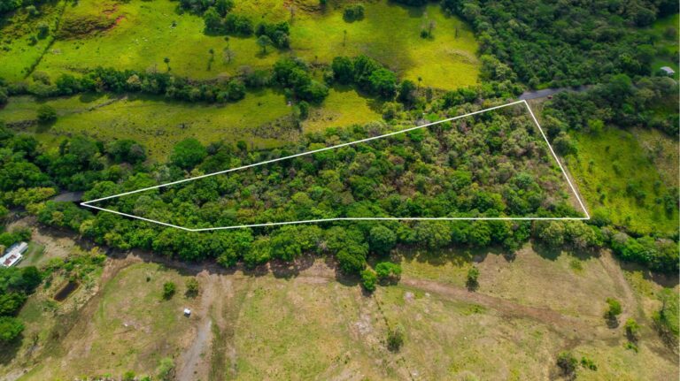 Terreno En Venta