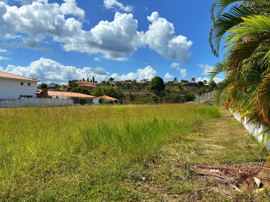 Beachfront Lot Vista Mar