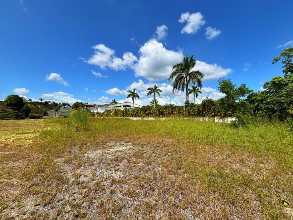 Terreno En Venta