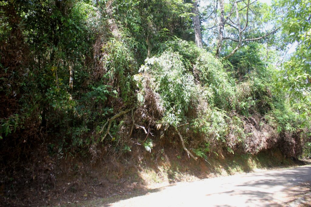 Cerro Azul