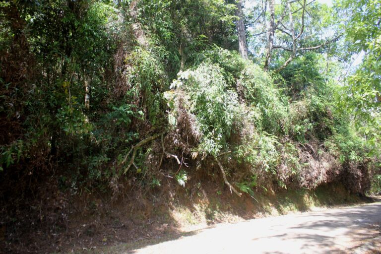 Cerro Azul