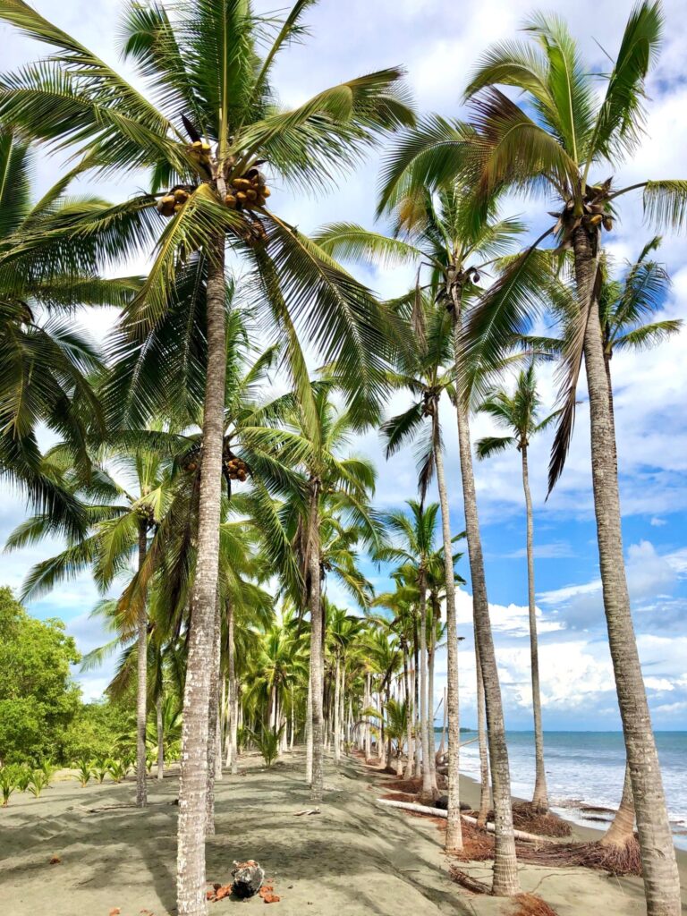 Coco Beach