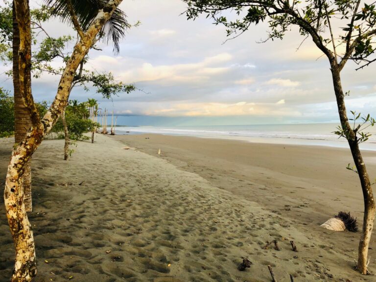 Chiriqui