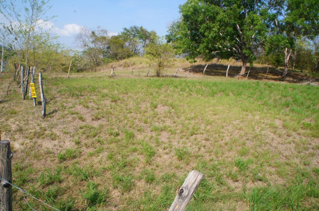 San Carlos