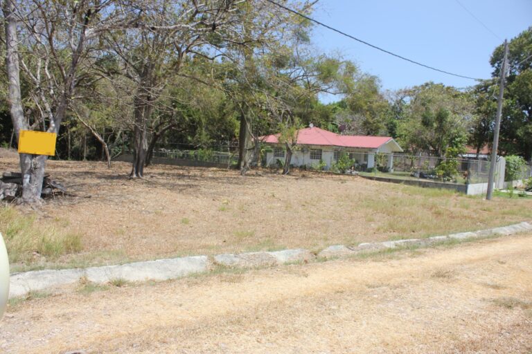 Antón
