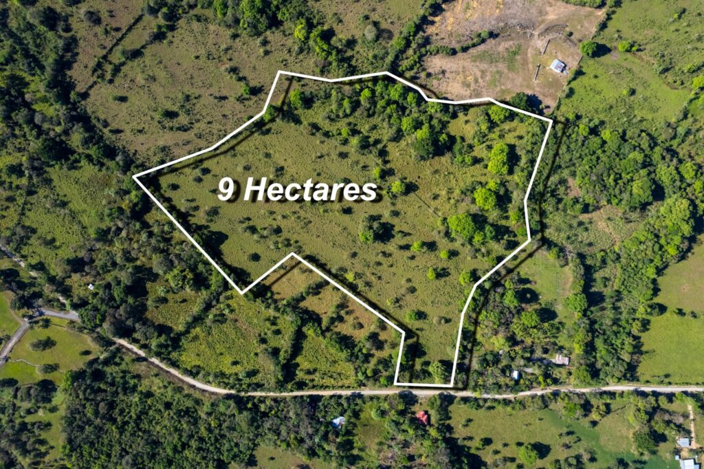 Finca Rovira Abajo