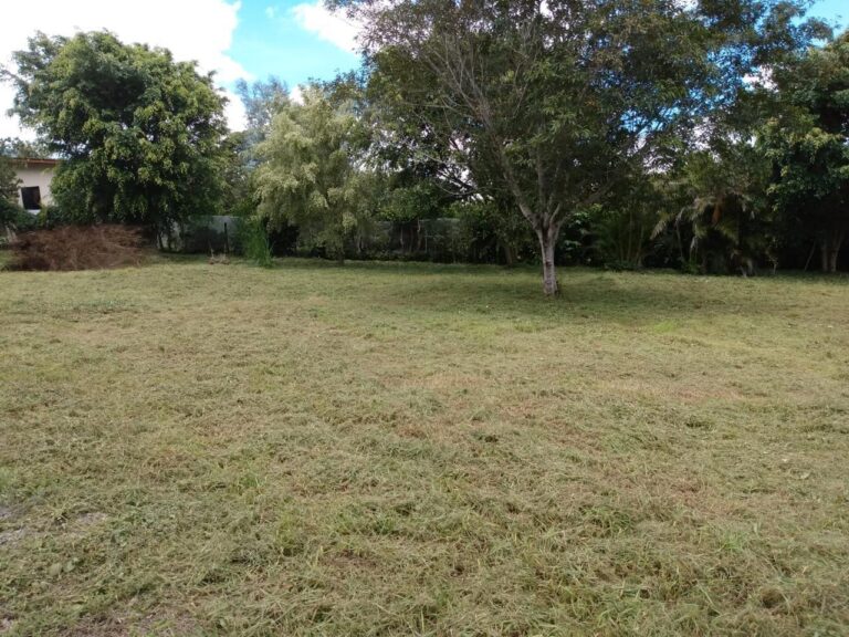 Chiriqui