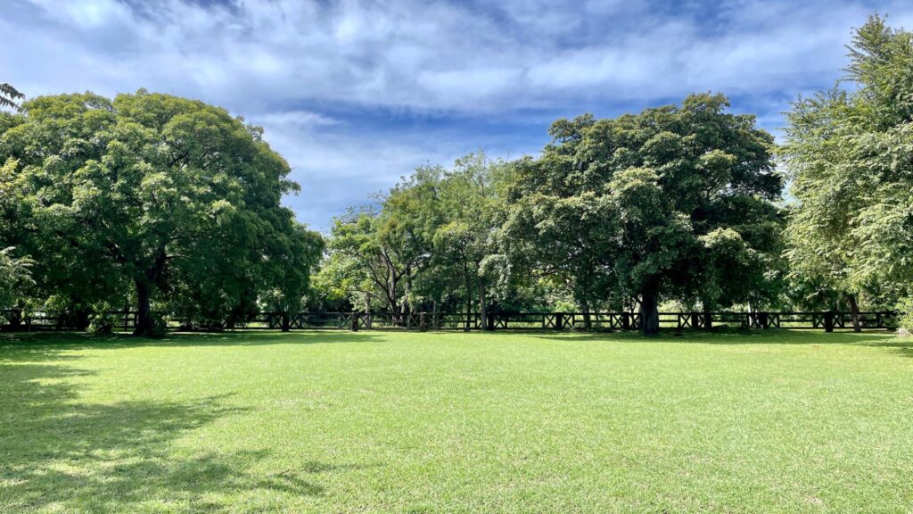 Panamá Oeste