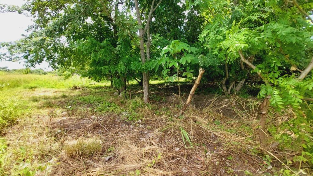 LOT IN CABUYA-CERCA CORONADO