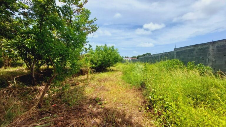 Terreno En Venta