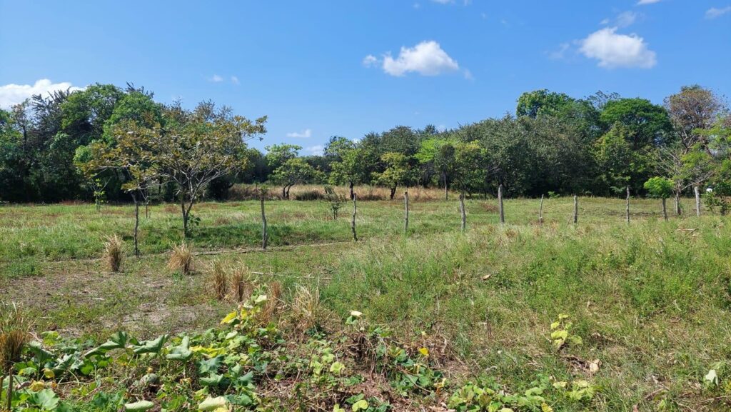 Panamá Oeste