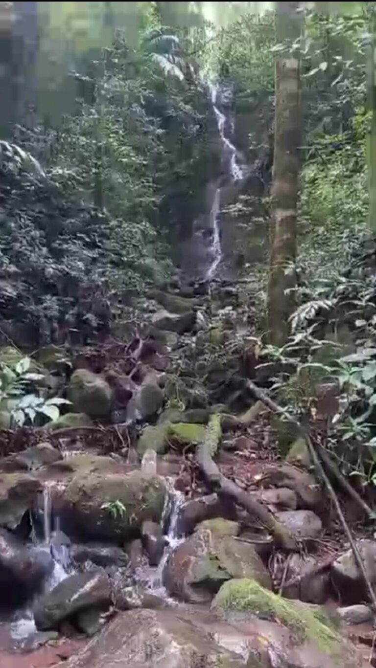 Chiriqui
