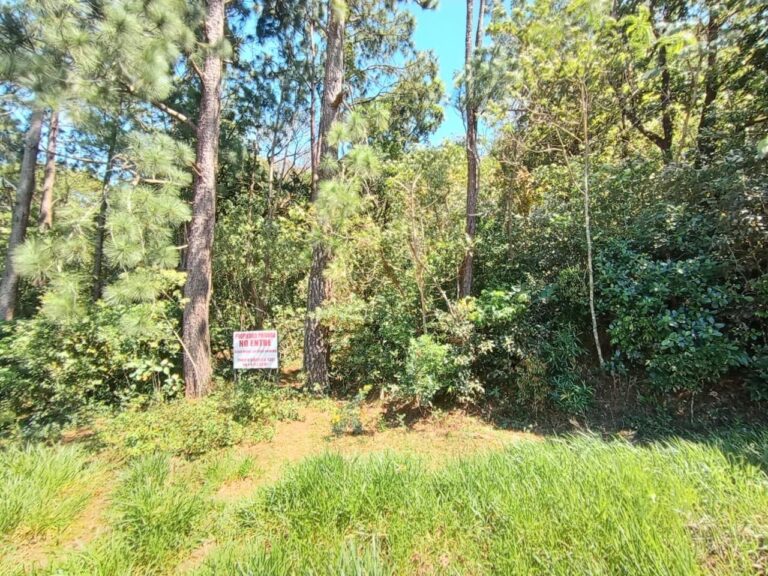 Terreno En Venta