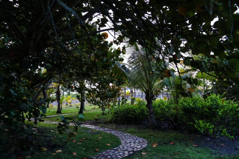 Chiriqui