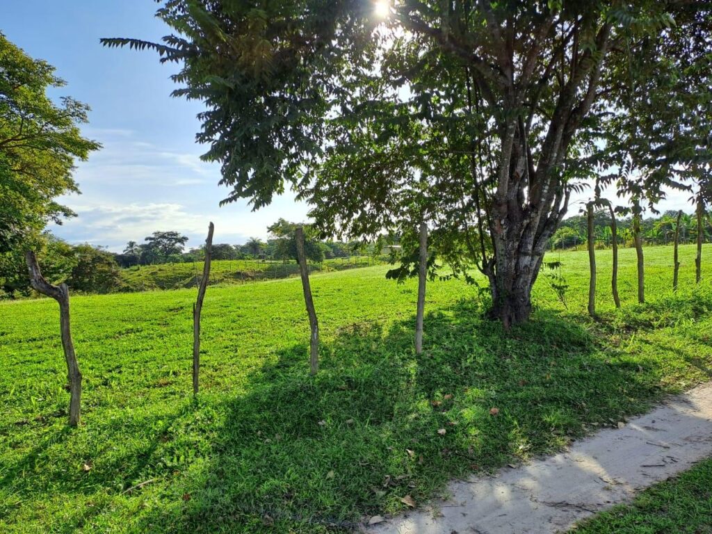 San Carlos