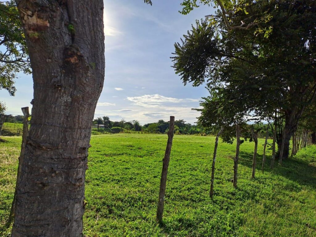 Panamá Oeste