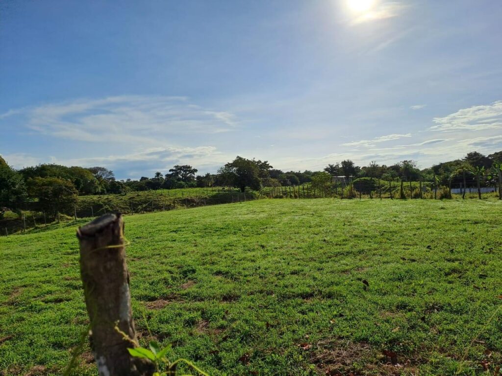 Panamá