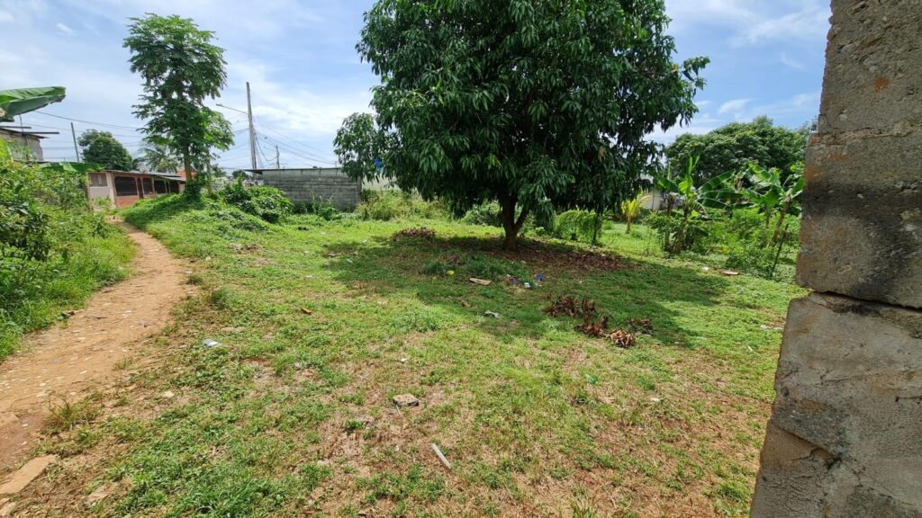 Panamá