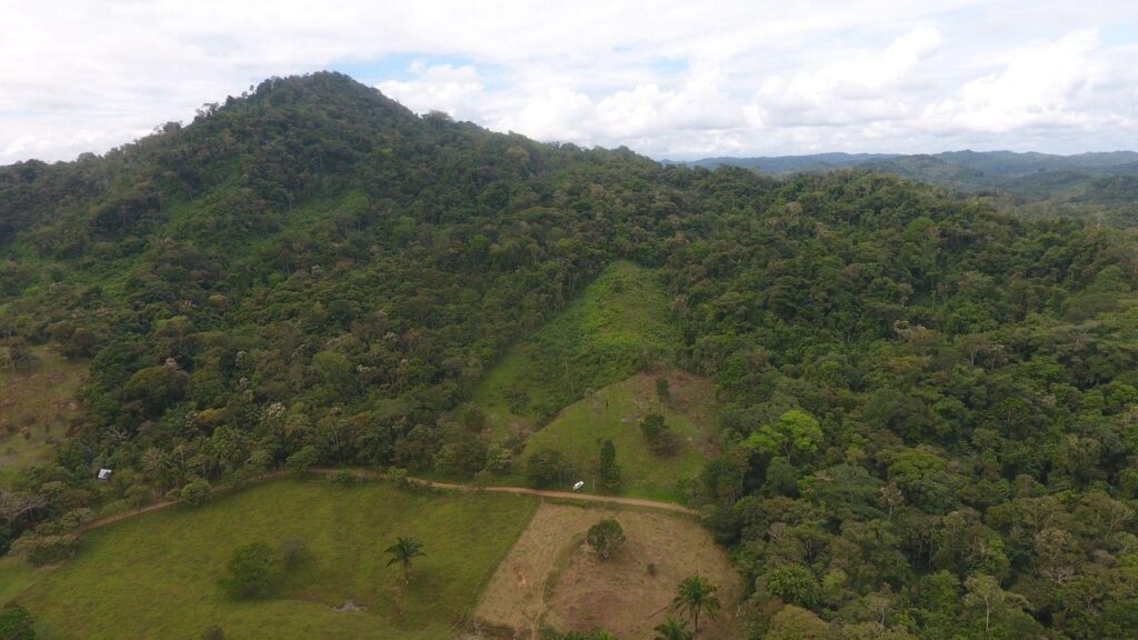 Panamá