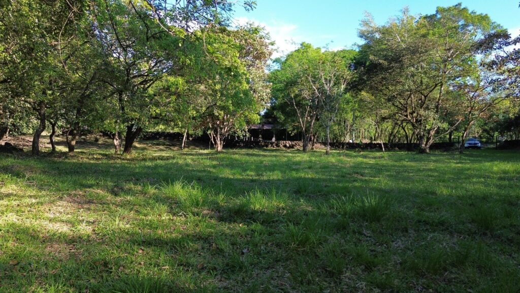 Chiriqui