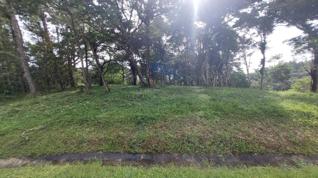 Lote 58