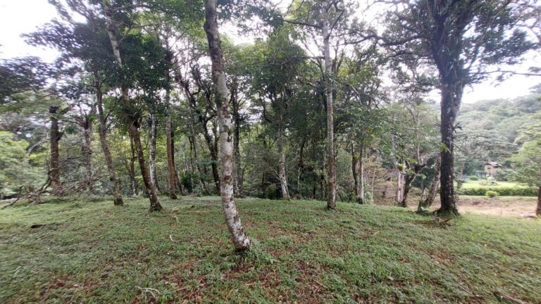 Panamá Oeste