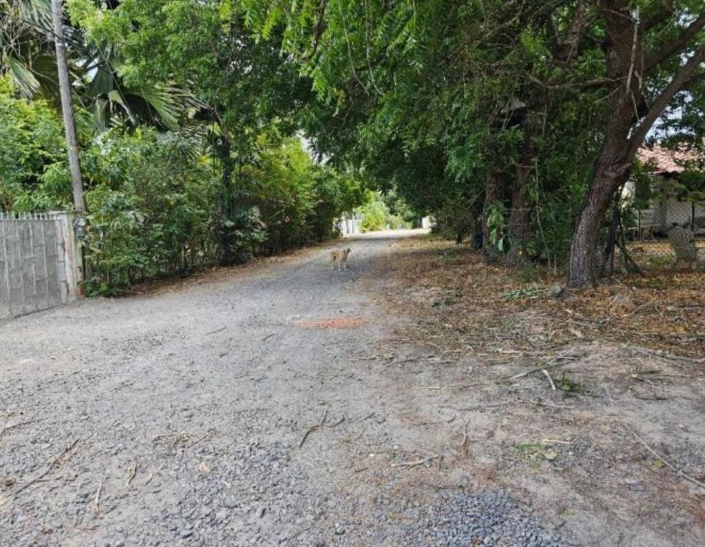 Panamá