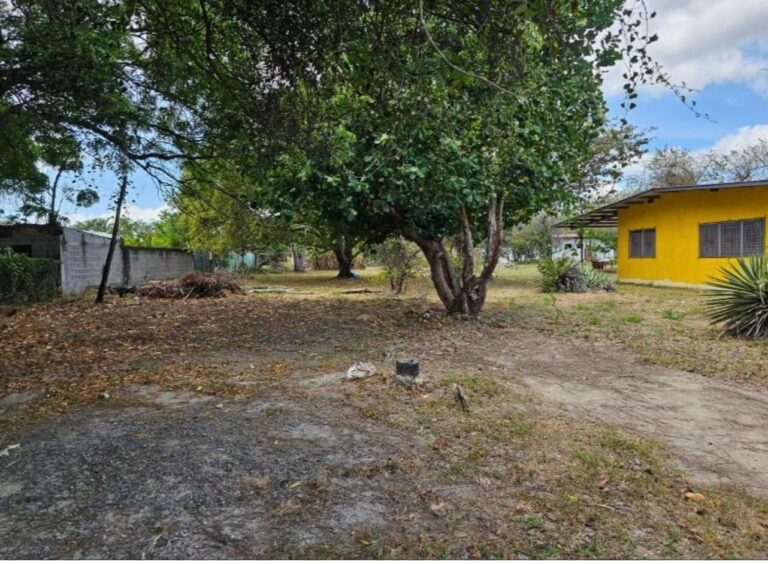 Terreno En Venta