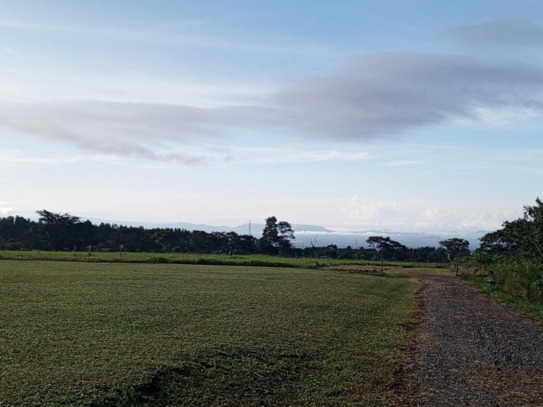 Lote de 1500m² en Potrerillos Arriba