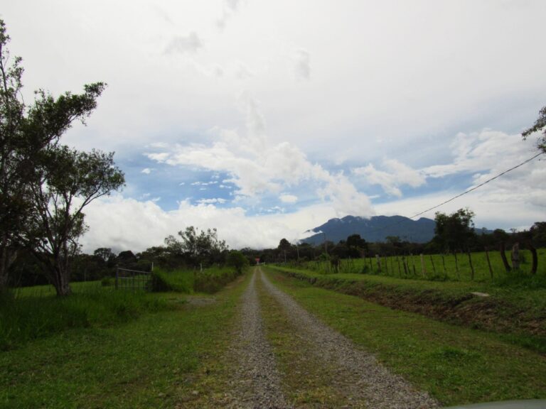 Potrerillos Arriba