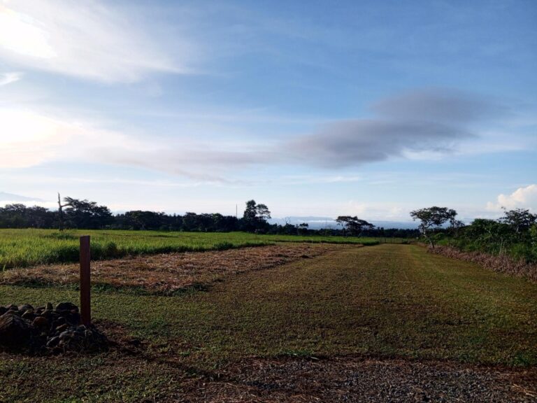 Chiriqui