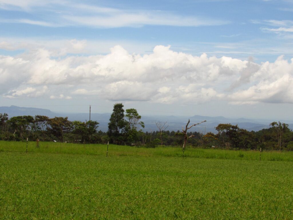 Chiriqui