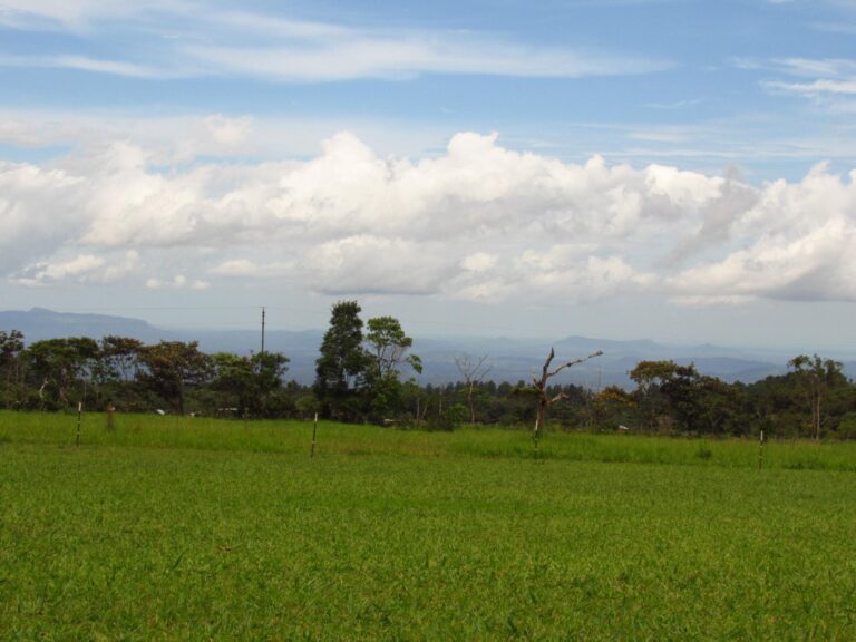 Chiriqui