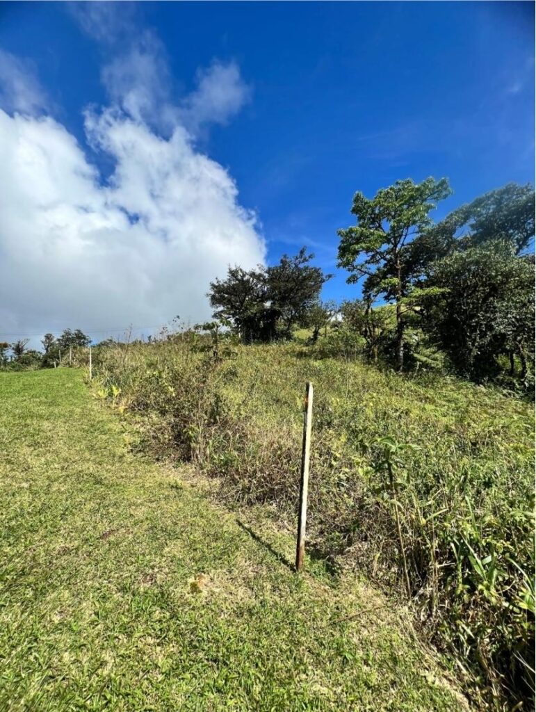 Lote en Altos del María